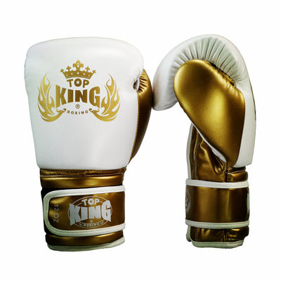 Boxing glove Sanda Combat training null